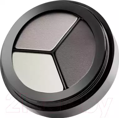 Палетка теней для век Paese Luxus Eye Shadows 101